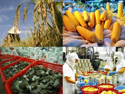Ngành nông nghiệp Việt phải tự làm mới mình trong cuộc đua về giá