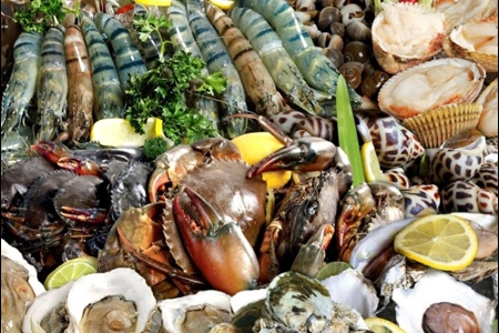 Điểm mặt các loại hải sản chứa độc tố