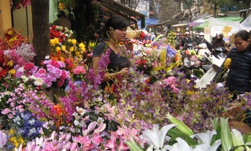 Ghé thăm chợ hoa ngày Tết ở Hà Nội 
