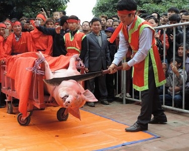 Xuân ‘văn minh’ với lời kêu gọi chấm dứt Lễ hội chém lợn tại Bắc Ninh