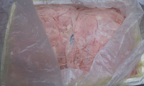 Hà Nội: Bắt hơn 500kg nầm lợn thối 