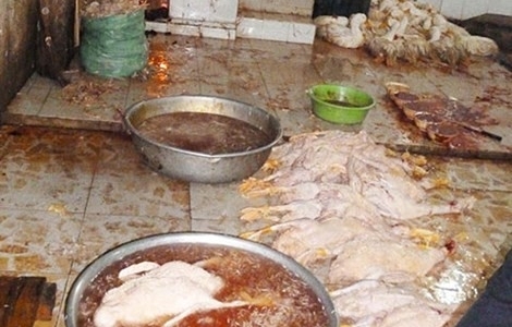 8.000 hàng ăn vi phạm vệ sinh an toàn thực phẩm tại TP.HCM