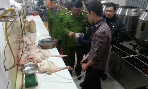 Hà Nội: Phát hiện cơ sở giết mổ gia cầm trái phép