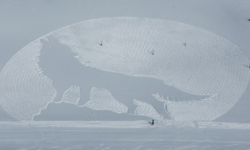 Nghệ nhân đi bộ trên tuyết để vẽ tranh 