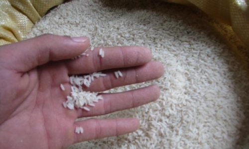 Gạo quê liệu có an toàn 