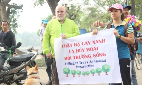 Hàng loạt hành động phản đối chặt hạ cây xanh ở Hà Nội