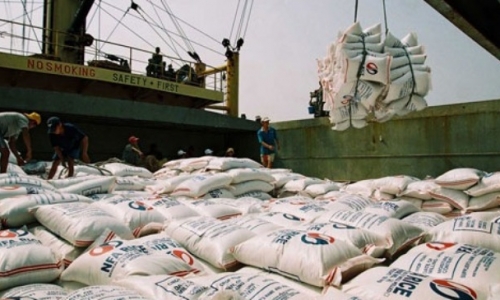 Giá trị xuất khẩu của gạo Việt quá thấp
