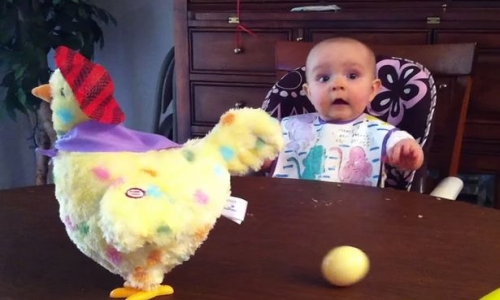 Khuôn mặt ngạc nhiên của bé khi thấy gà đẻ trứng