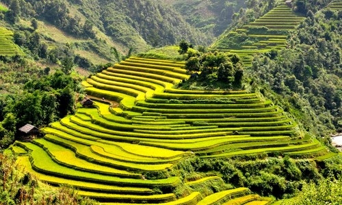 Hình ảnh khiến khách du lịch ấn tượng khi nhắc tới Việt Nam