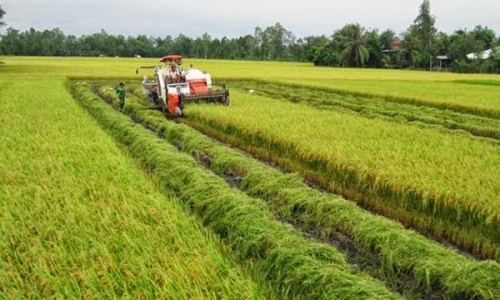Nông nghiệp luôn là một ngành quan trọng với Việt Nam