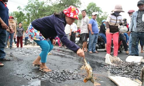 Đổ cá chết trước trụ sở UBND phường để phản đối ô nhiễm