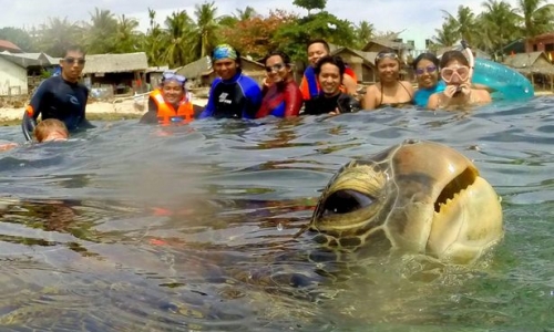 Du khách bất ngờ với ảnh chụp chung với rùa biển