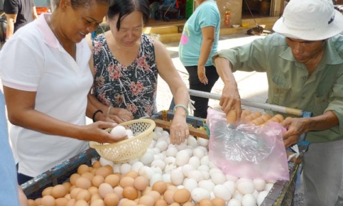 Nhiều người mua phải trứng loãng lòng nghi tồn từ Tết 