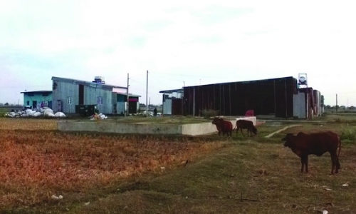 Phản hồi vụ: “Tràn lan nhà không phép trên đất ruộng Hóc Môn”: UBND huyện Hóc Môn thừa nhận nhiều trường hợp xây dựng trái phép