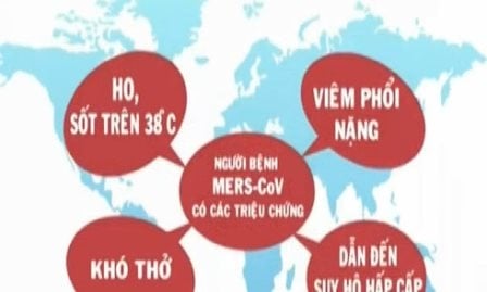 Tăng cường truyền thông phòng chống Mers-CoV đối với công dân nước ngoài tại Việt Nam