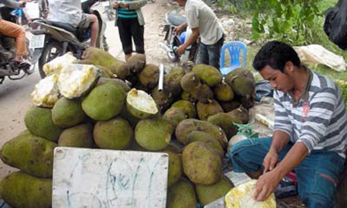Nông sản quẩn quanh: Lại lo mít Thái rớt giá 