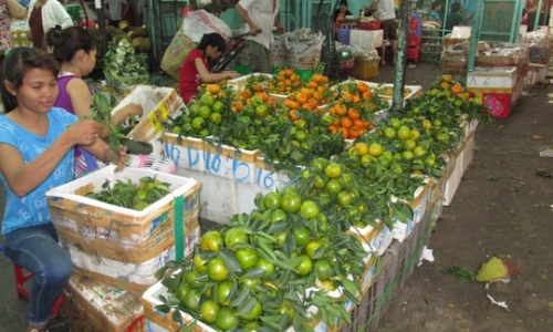 Việt Nam cần có chợ đấu giá nông sản xuất khẩu