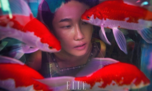 Kha Mỹ Vân tiếp tục “bay” theo giấc mơ của người mẫu Việt Nam