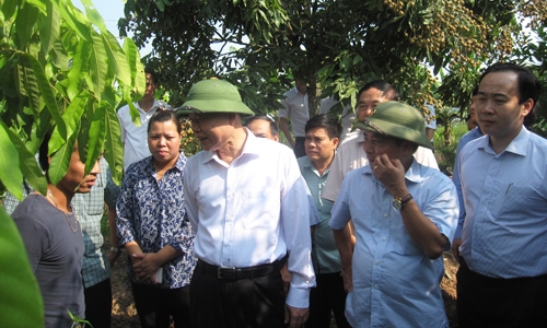 Phó Thủ tướng Vũ Văn Ninh thị sát nông thôn mới tại Hưng Yên