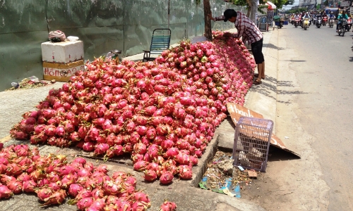 Hoa quả Việt: Trong nước đổ đống, ngoài nước đắt đỏ