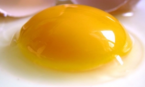 10 sự thật về trứng gà có thể bạn chưa biết