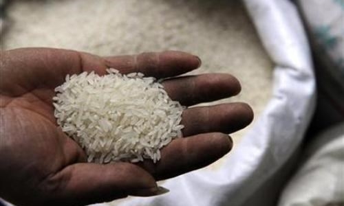 Dây chuyền sản xuất gạo nhựa ở Hưng Yên?