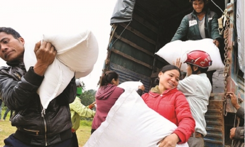 Chính phủ hỗ trợ Ninh Thuận hơn 836 tấn gạo cứu đói