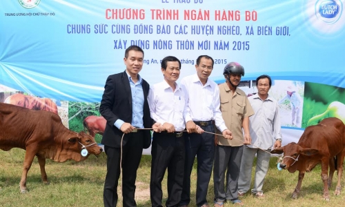 FrieslandCampina Việt Nam tiếp tục trao tặng bò cho các hộ nông dân