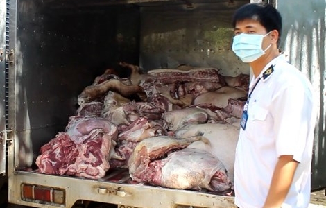 Bắt gần 5 tấn thịt heo thối trước khi bán tại chợ công nhân