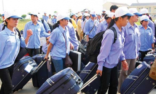Nghịch lý: 54 triệu lao động Việt chủ yếu làm “công việc đơn giản”
