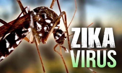Bộ Y tế khuyến cáo gì về dịch bệnh Zika?