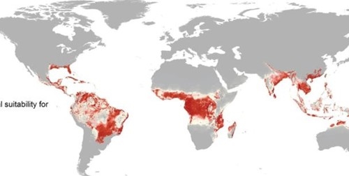 2,2 tỷ người sống ở vùng có nguy cơ thành ổ dịch Zika