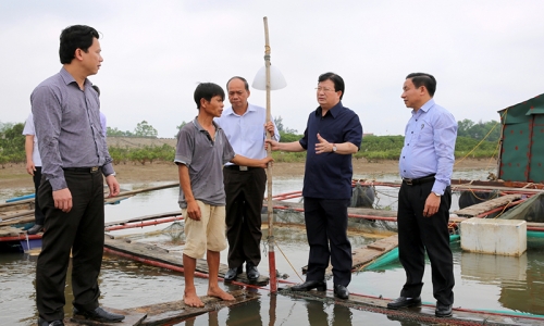 Phó Thủ tướng Trịnh Đình Dũng kiểm tra thực địa tình trạng cá chết hàng loạt tại Hà Tĩnh