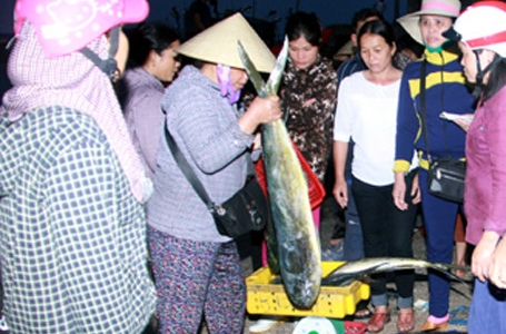 Vụ cá chết: “Thủ phủ” hải sản nhộn nhịp kẻ bán, người mua