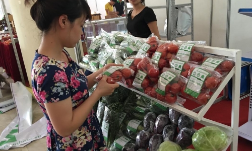 6 tháng: Bộ NN-PTNT tìm ra 2 hàng rau sạch ở Hà Nội