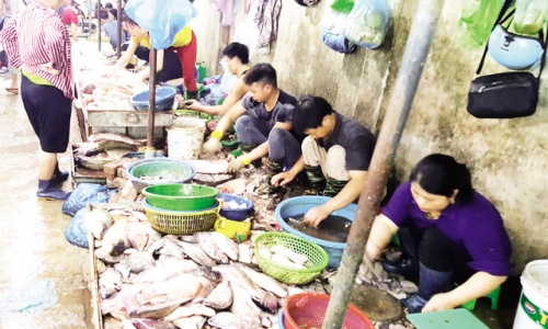 Tấp nập khách 'săn' cá ươn giá rẻ tại chợ thực phẩm Hà Nội