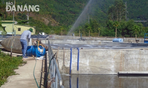 Ô nhiễm tại Trạm xử lý nước thải KCN Liên Chiểu: Ngày càng nghiêm trọng