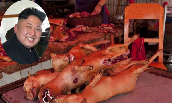 Triều Tiên khẳng định thịt chó là ‘siêu thực phẩm’, khuyến khích người dân ăn chống đói
