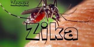 Virus Zika xâm nhập 70 quốc gia, vùng lãnh thổ