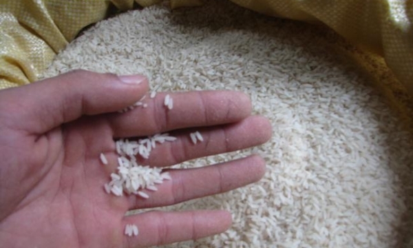 Chủ cơ sở sản xuất gạo chỉ cách nhận biết gạo “tắm” hóa chất, phun hương liệu độc hại