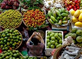 Ngân hàng Thế giới “vạch” ra điểm yếu trong xuất khẩu nông sản của Việt Nam