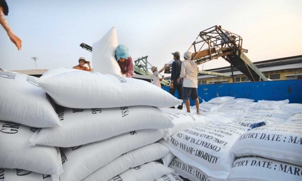 Xuất khẩu gạo khó khăn vì thị trường Trung Quốc