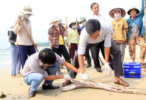 4 tỉnh miền Trung đã nhận được 3.000 tỷ đồng vụ  thiệt hại môi trường