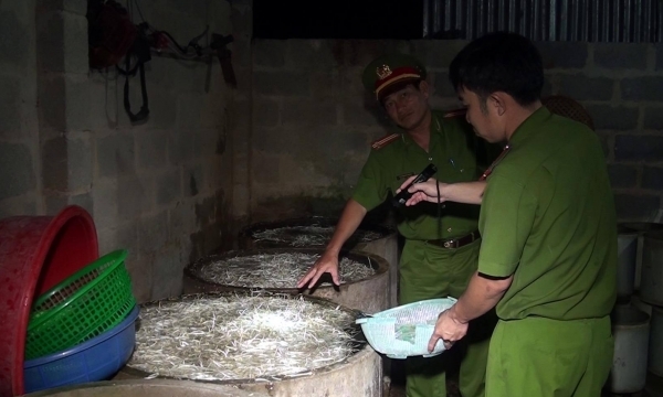 Quảng Nam: Phạt chủ cơ sở 30 triệu đồng vì sử dụng hóa chất để làm giá đỗ