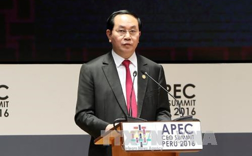 Chủ tịch nước Trần Đại Quang phát biểu tại Hội nghị APEC