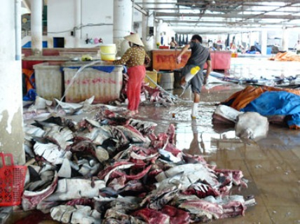 Bà Rịa - Vũng Tàu: Cơ sở chế biến hải sản bị đình chỉ 6 tháng vì xả thải vượt chuẩn