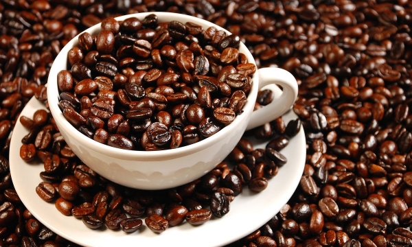 Năm 2016: Dự kiến xuất khẩu cà phê đạt trên 3 tỷ USD