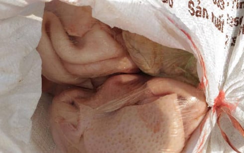 Nghệ An: Bắt gần 1 tấn nội tạng động vật bốc mùi hôi thối