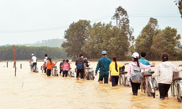 Quảng Ngãi xin hỗ trợ kinh phí khắc phục hậu quả mưa lũ