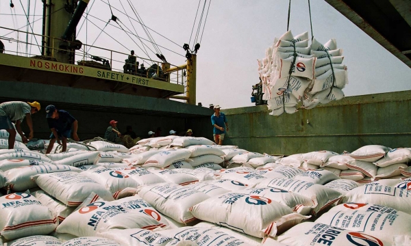 Xuất khẩu gạo khó về đích